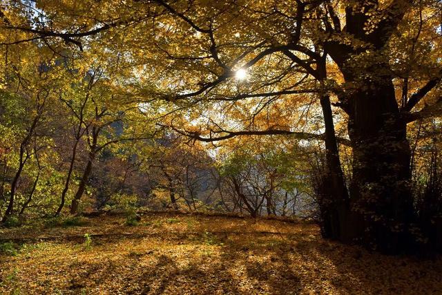 昌平沟崖自然风景区(说昌平之沟崖揽胜)(10)