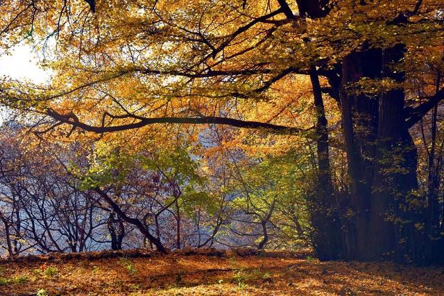 昌平沟崖自然风景区(说昌平之沟崖揽胜)(1)