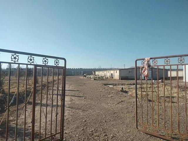 养羊前景正确分析(能不能养家糊口)(3)