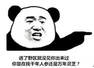 成都史诗级大堵车（成堵之谜成都这8个地方最爱堵车）(4)