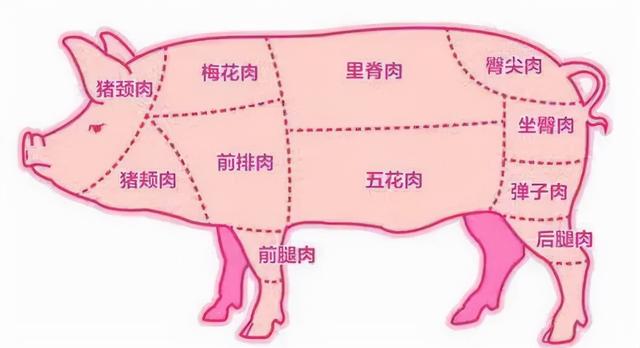 上海好吃的蟹排行榜（魔都最强品蟹指南）(24)