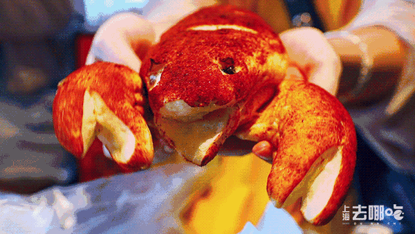 zara有什么值得购买的（龙之梦大变样啦）(13)