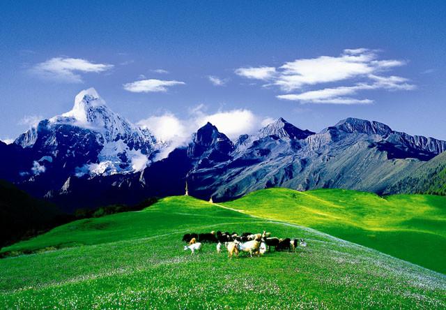 成都自驾稻城亚丁游记（自驾稻城亚丁全攻略）(4)