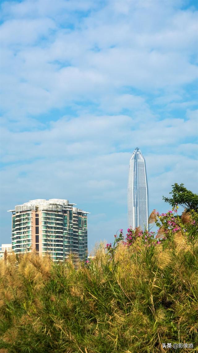 红树林旅游（去了这个红树林生态公园）(28)