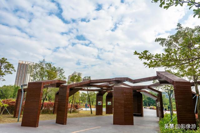 红树林旅游（去了这个红树林生态公园）(14)