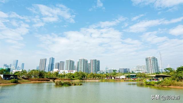 红树林旅游（去了这个红树林生态公园）(16)