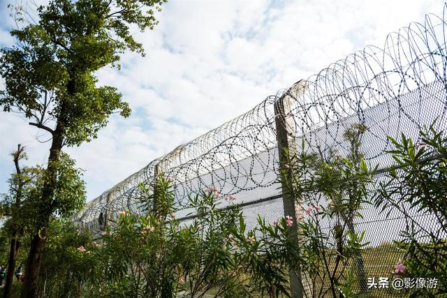 红树林旅游（去了这个红树林生态公园）(21)