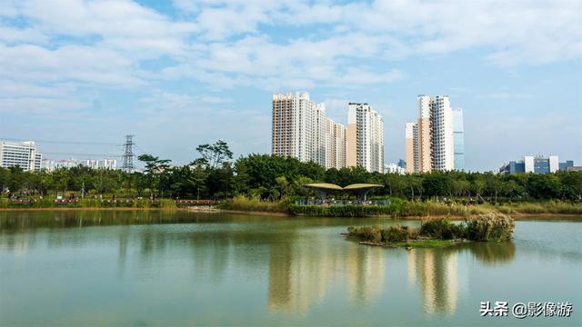 红树林旅游（去了这个红树林生态公园）(19)