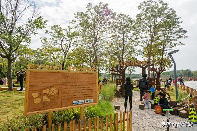 红树林旅游（去了这个红树林生态公园）(15)