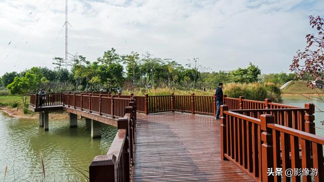 红树林旅游（去了这个红树林生态公园）(29)