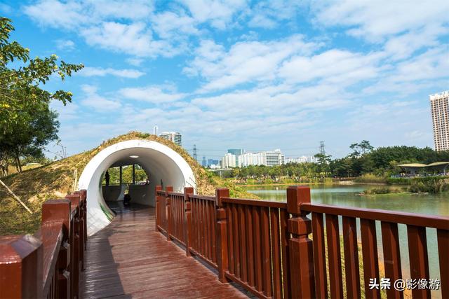 红树林旅游（去了这个红树林生态公园）(6)