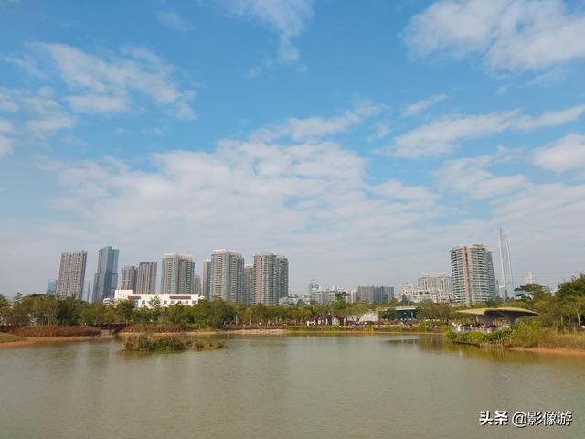 红树林旅游（去了这个红树林生态公园）(2)