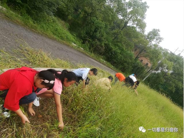 安徽开学时间2022最新消息（开学）(5)