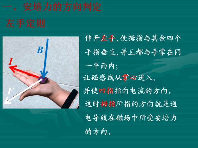 左手定则是什么（左手定则简介）