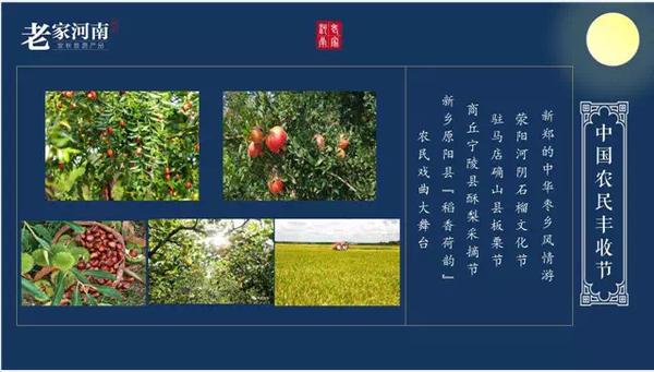 河南旅游你必去的地方（这份河南旅游攻略）(3)