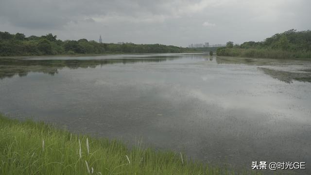 成都青龙湖湿地公园网红地（成都绿肺环城公园之青龙湖公园）(9)