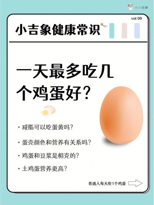 鸡蛋能吃吗（鸡蛋是什么）