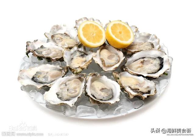 海鲜贝类都有哪些种类呢（市场常见的贝类大全）(9)