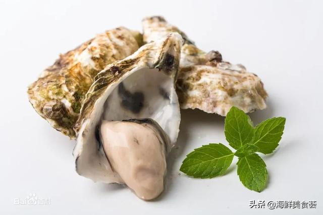 海鲜贝类都有哪些种类呢（市场常见的贝类大全）(2)