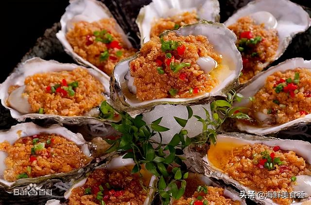 海鲜贝类都有哪些种类呢（市场常见的贝类大全）(10)