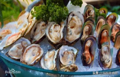 ​海鲜贝类都有哪些种类呢（市场常见的贝类大全）