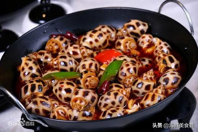 海鲜贝类都有哪些种类呢（市场常见的贝类大全）(12)