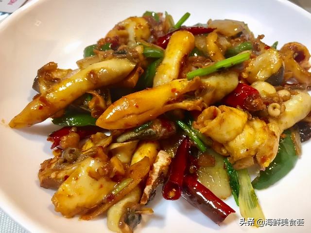 海鲜贝类都有哪些种类呢（市场常见的贝类大全）(7)