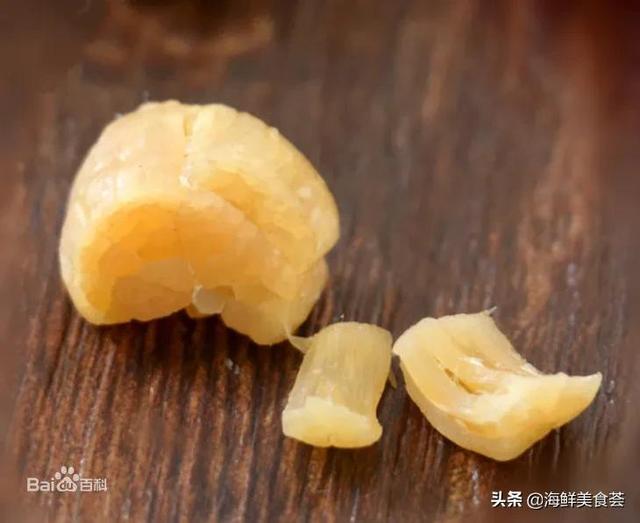 海鲜贝类都有哪些种类呢（市场常见的贝类大全）(5)