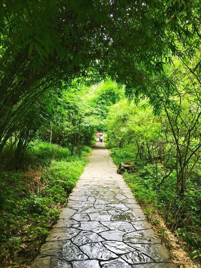 四川旅游十大必去景点排名大全（四川十大经典旅游景点）(18)