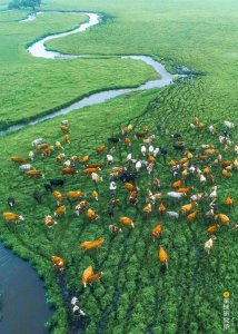 ​济南安静的大明湖（青未了我挚爱济南市的大明湖）