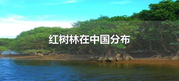 红树林在中国分布