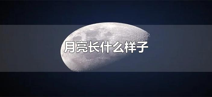 月亮长什么样子