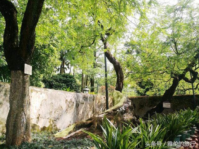 广东中山一日游攻略最佳路线图（中山汤河粉10元2大碗）(7)