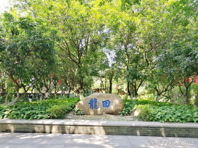 广东中山一日游攻略最佳路线图（中山汤河粉10元2大碗）(6)