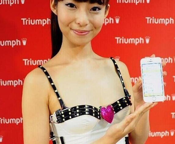 有哪些日本牌子的内衣（这些内衣的画风不太对）(20)