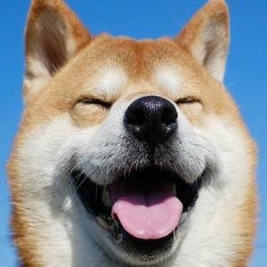 有哪些特别好的又便宜的化妆水（全球最好用的6款化妆水榜单）(17)