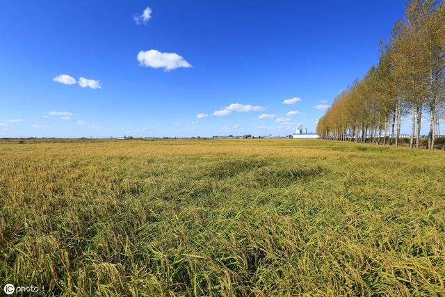 黑龙江省哈尔滨市五常市地图（黑龙江省哈尔滨市五常）(6)