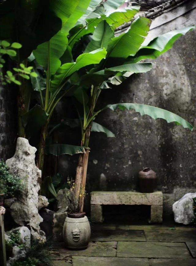 与朋友离别散文随笔（散文离别七月重逢八月）(3)