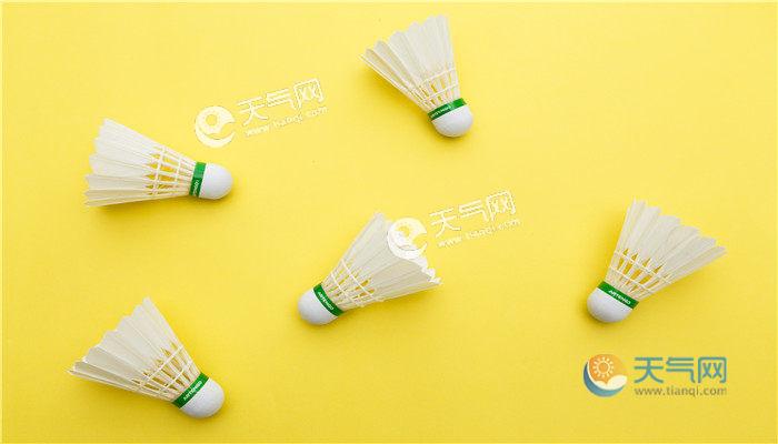 一只羽毛球上通常有几根羽毛(是什么原因呢)
