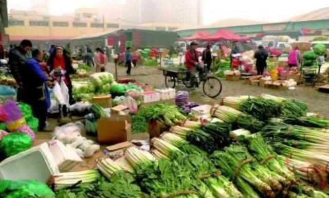 建一个蔬菜大棚的成本(别被幸福到万家忽悠了)(5)