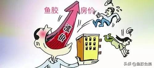 鱼胶今日价格(到底谁在操控鱼胶价格)(1)