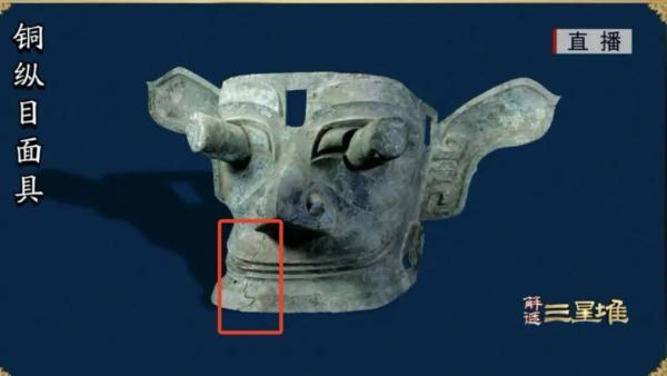 简单介绍三星堆(解谜三星堆时隔35年再同框)(8)