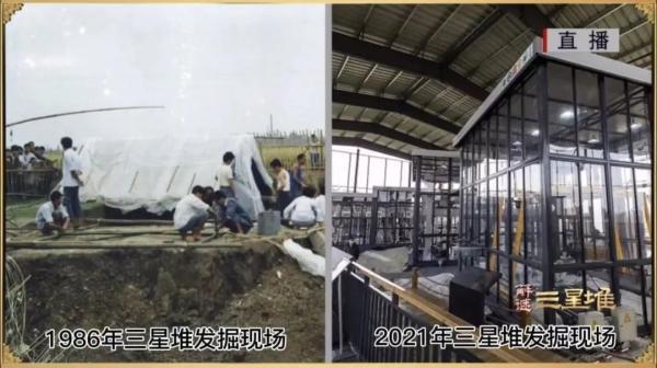 简单介绍三星堆(解谜三星堆时隔35年再同框)(4)