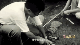 简单介绍三星堆(解谜三星堆时隔35年再同框)(6)