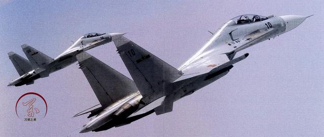 歼16战斗机到底有多强大（拿刀和拿枪的差距）(2)