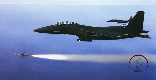 歼16战斗机到底有多强大（拿刀和拿枪的差距）(15)