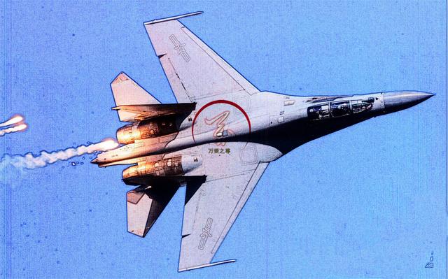 歼16战斗机到底有多强大（拿刀和拿枪的差距）(7)