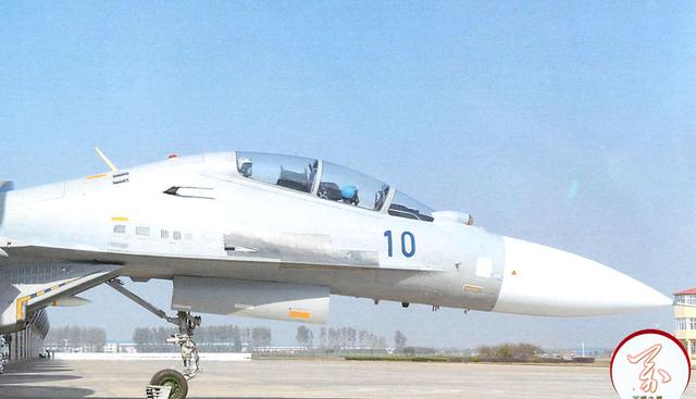 歼16战斗机到底有多强大（拿刀和拿枪的差距）(3)