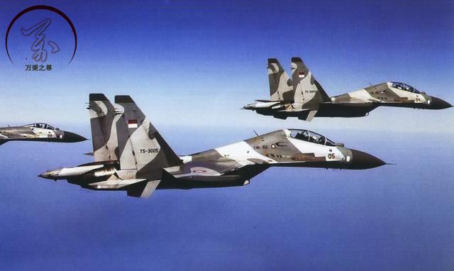 歼16战斗机到底有多强大（拿刀和拿枪的差距）(11)
