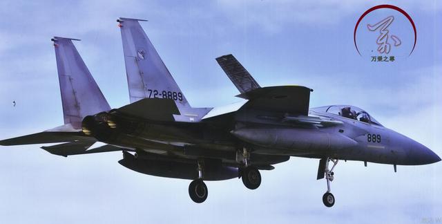 歼16战斗机到底有多强大（拿刀和拿枪的差距）(13)